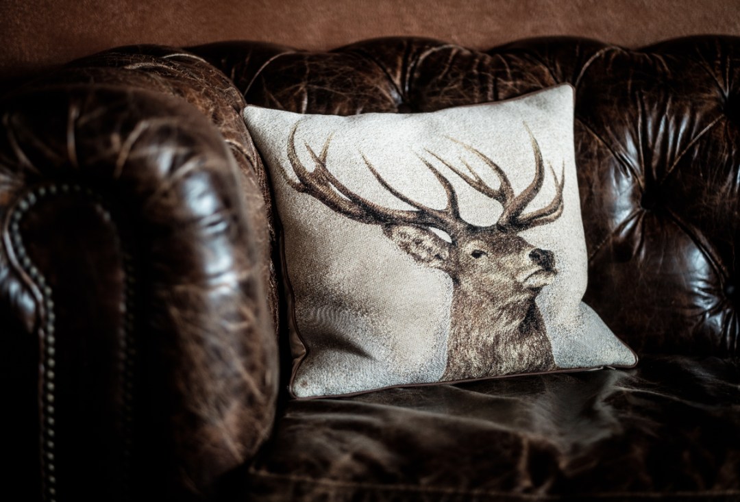 Deer 22